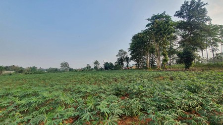 Tanah kosong di jalan Dahlia  Marga Takwa Natar, Lampung Selatan (Lampung)
