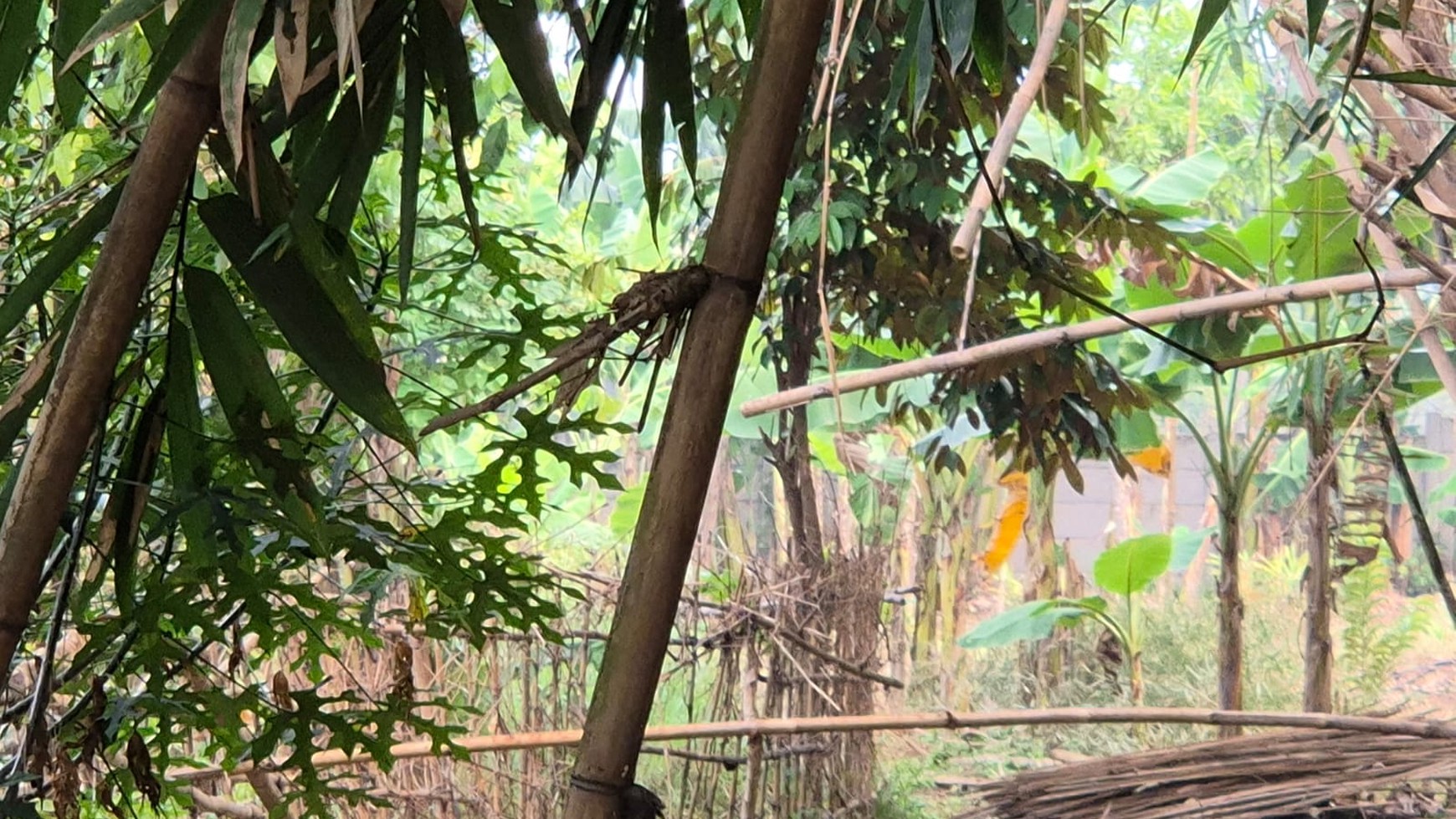 Kavling siap bangun, cocok untuk Cluster di Jombang - Ciputat