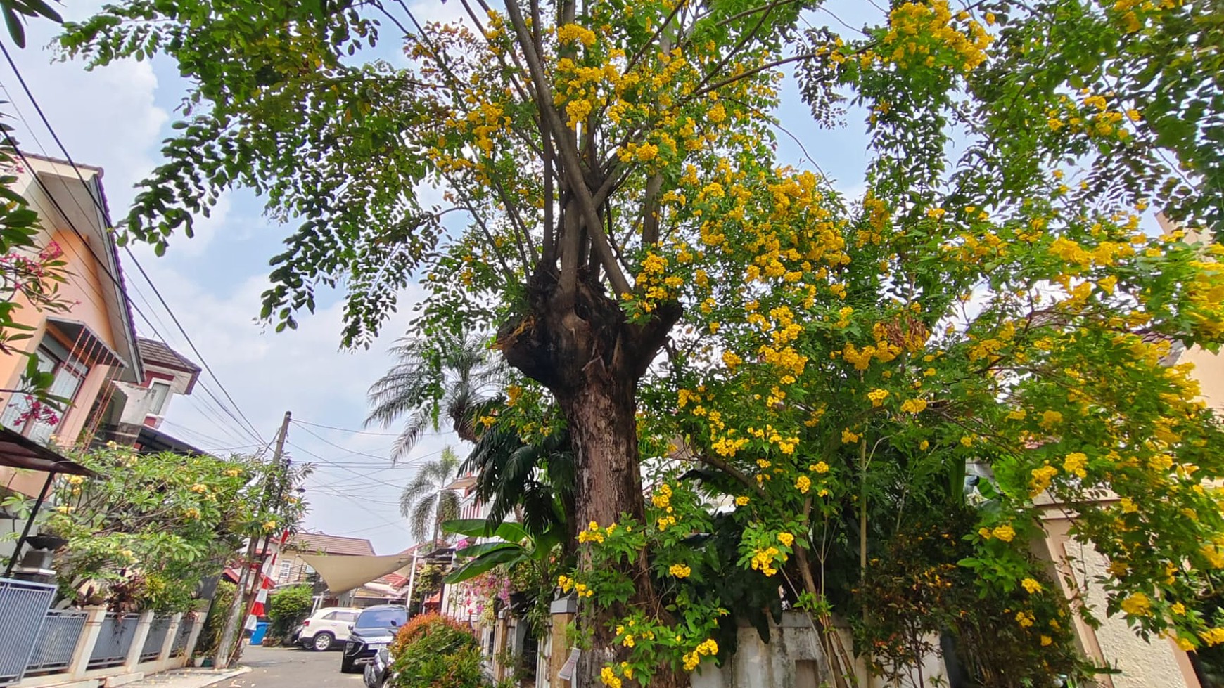 Rumah Hitung Tanah Area Cipete