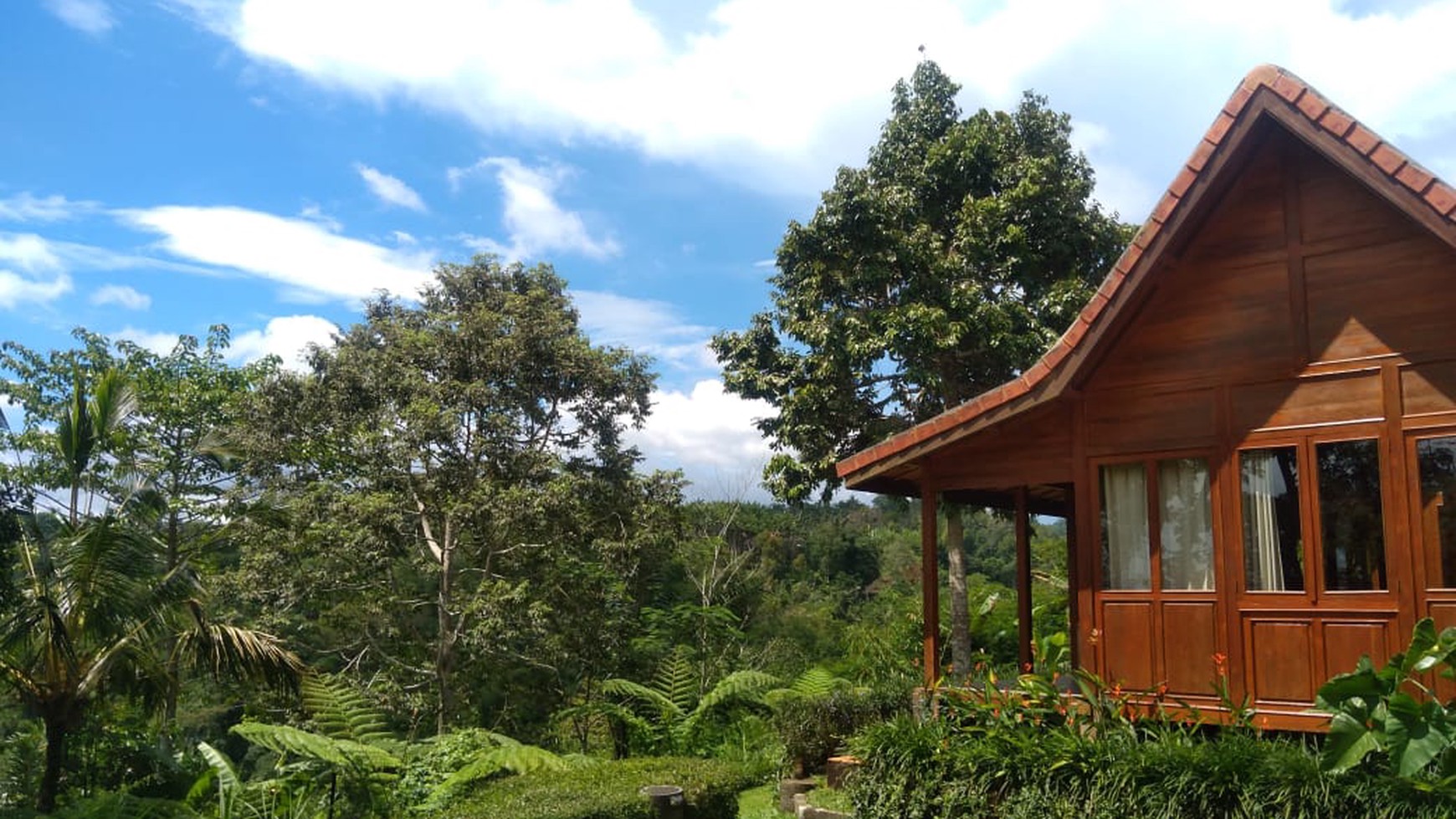 Hill View Wooden Houses for Sale In Bali