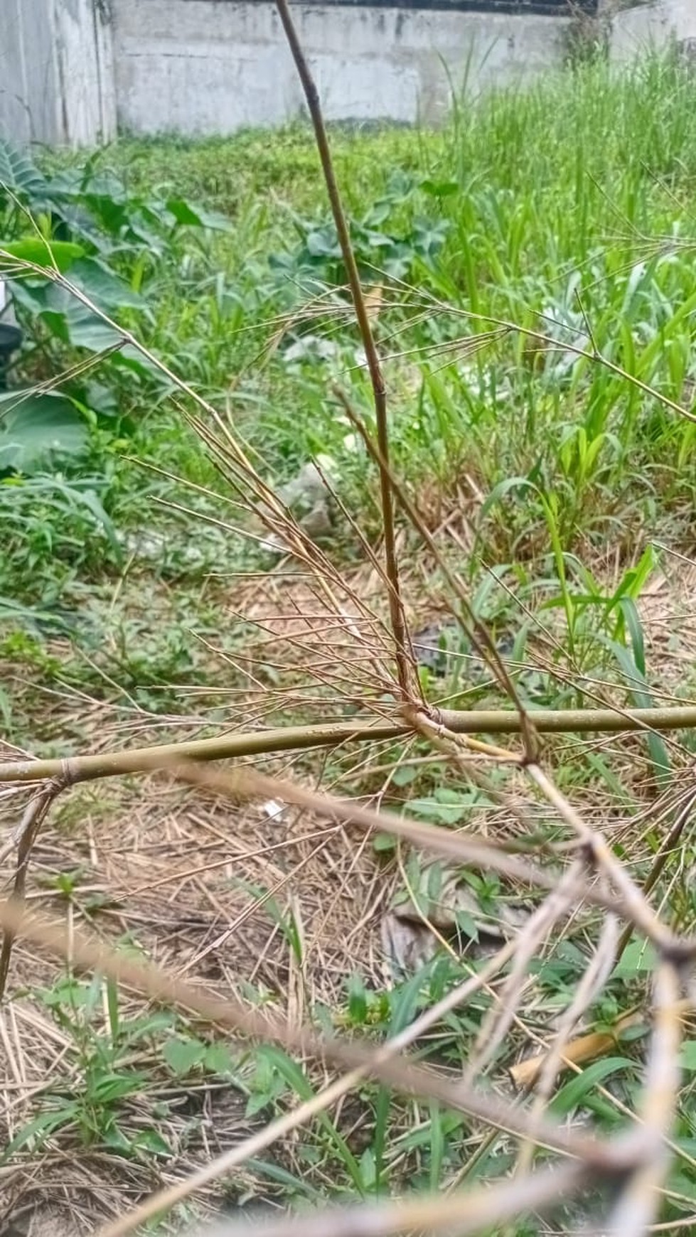 Tanah siap Bangun di Komplek Setramuni