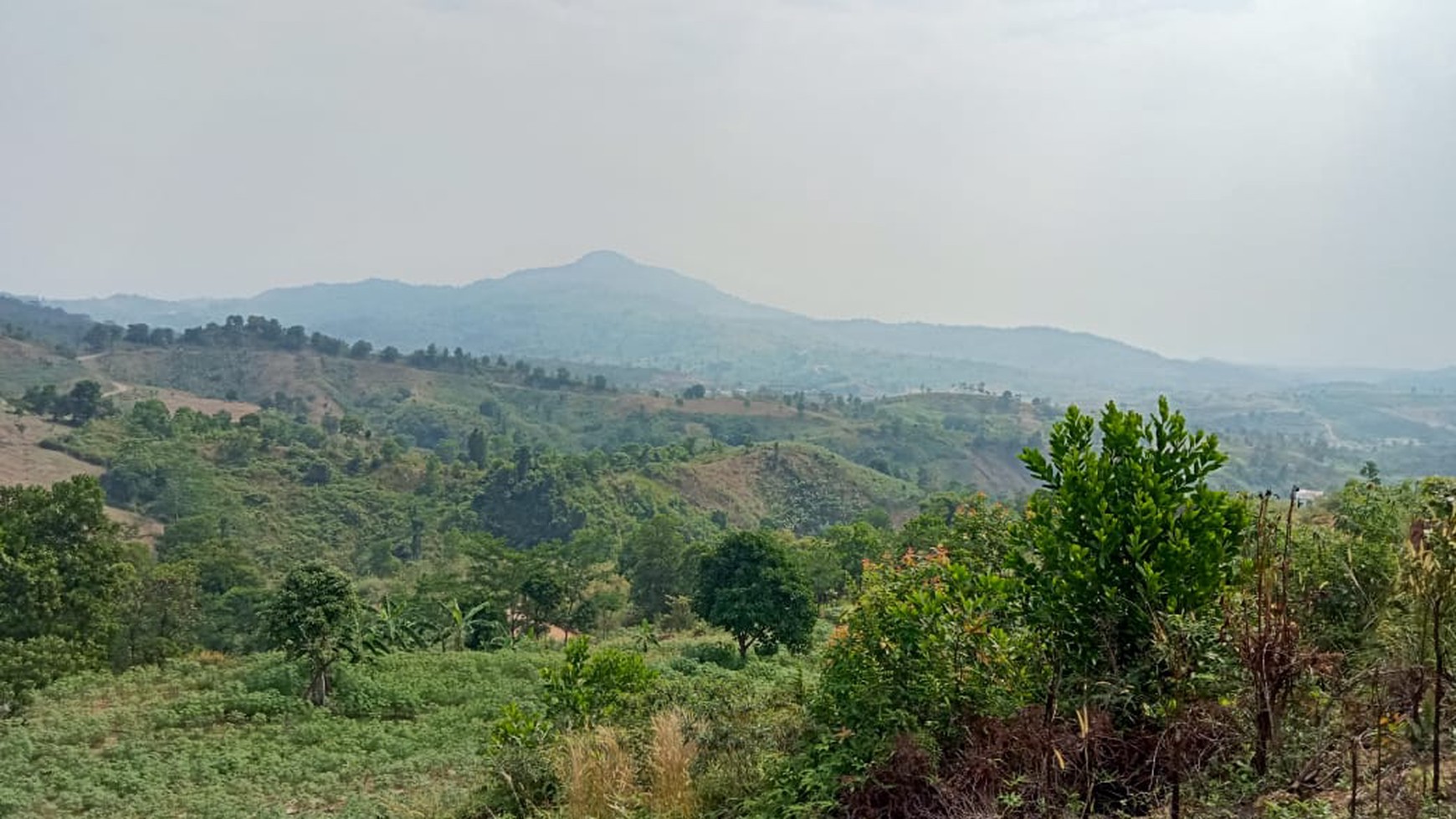 Tanah, Lahan Kosong, Harga di bawah NJOP, Desa Tajur, Bogor, Jawa Barat