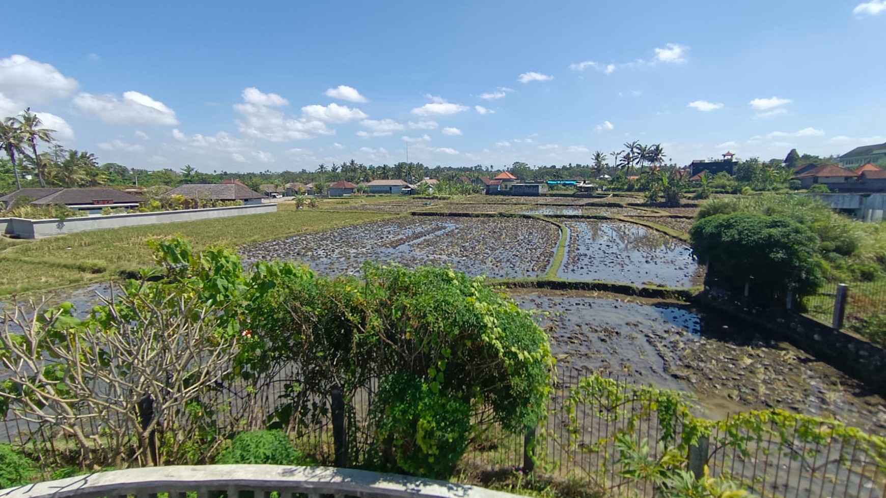 Land Close To The Beach Leasehold Great For Wedding Party Or Business Gianyar Bali