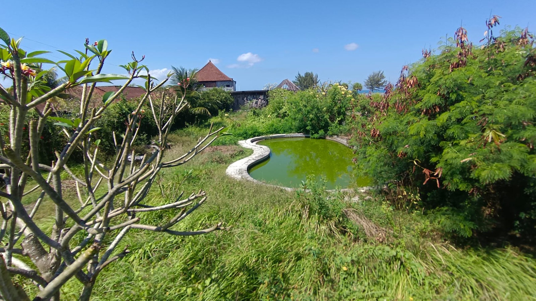 Land Close To The Beach Leasehold Great For Wedding Party Or Business Gianyar Bali