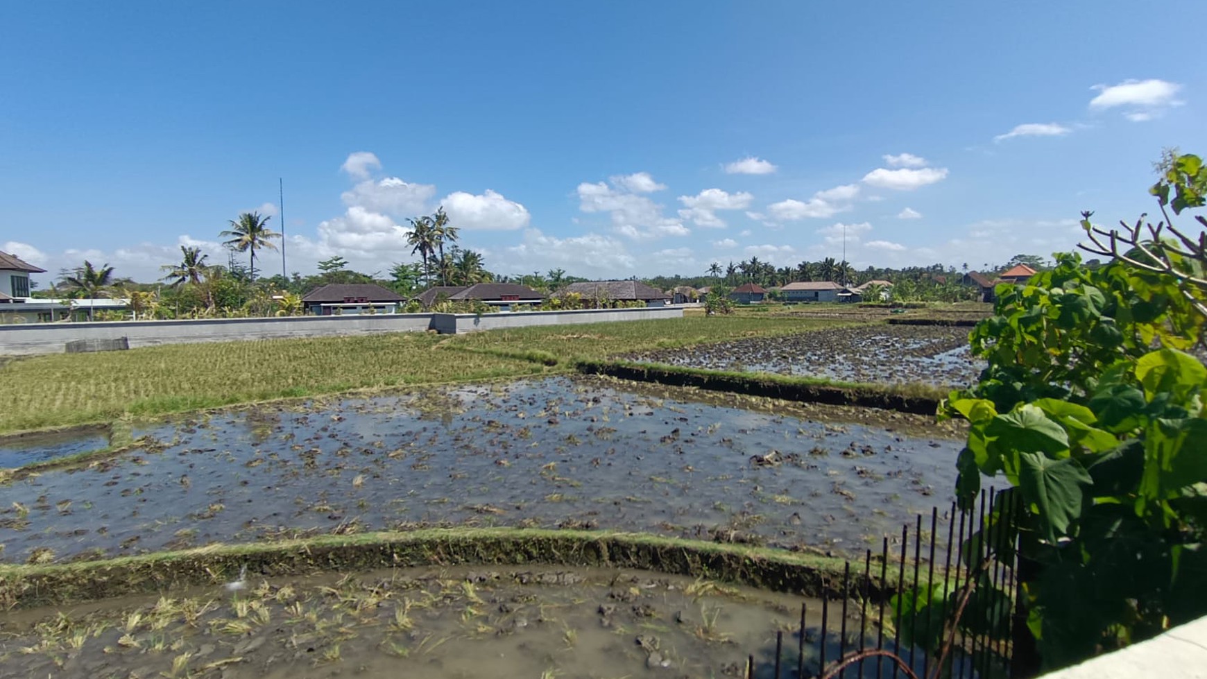 Land Close To The Beach Leasehold Great For Wedding Party Or Business Gianyar Bali