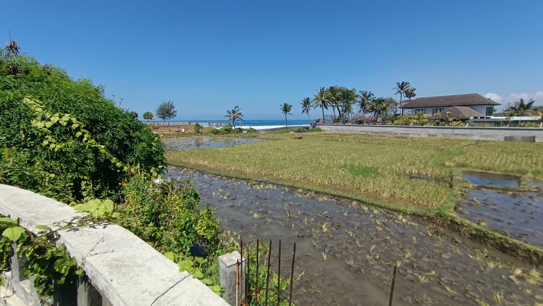 Land Close To The Beach Leasehold Great For Wedding Party Or Business Gianyar Bali