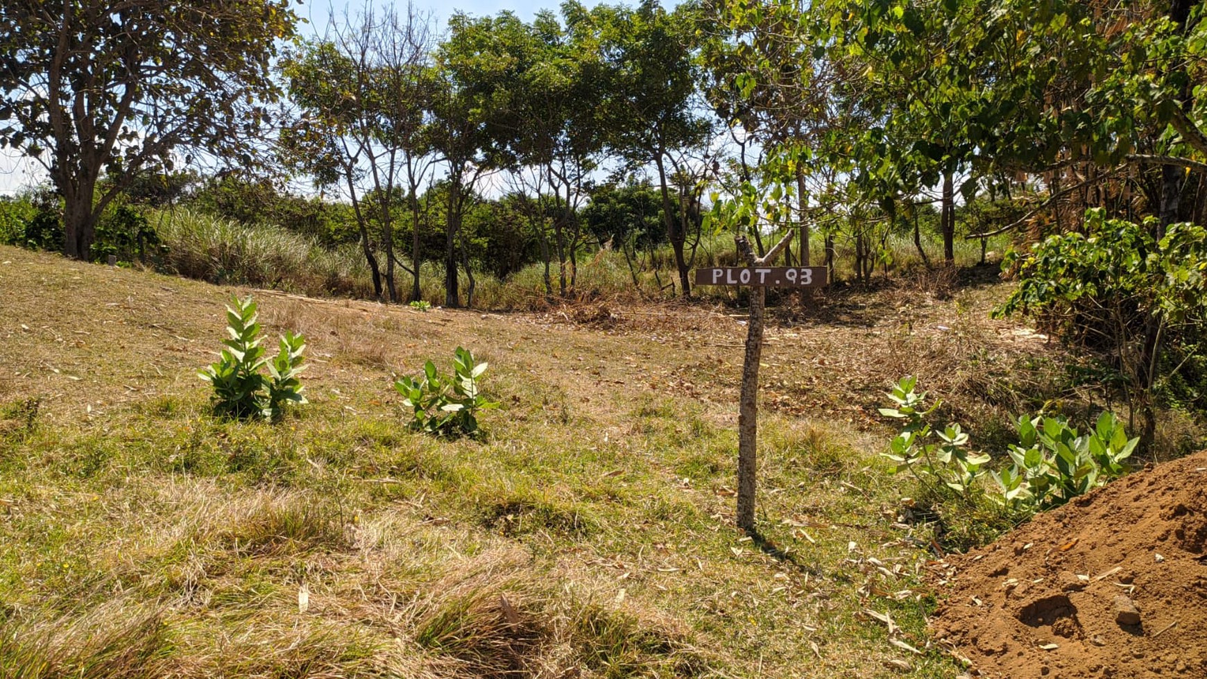 Land Freehold in Great Location Saba Beach Bali