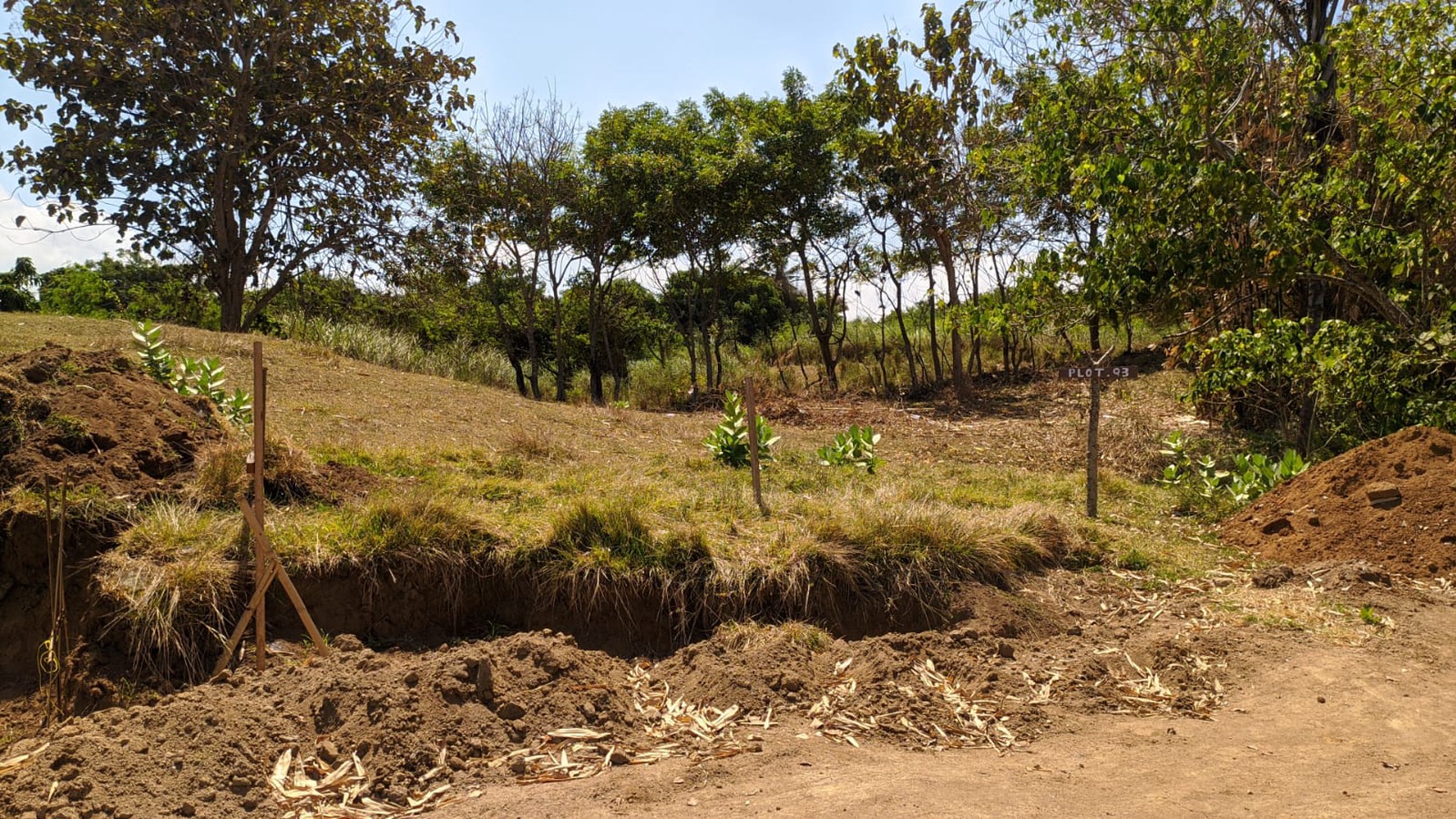 Land Freehold in Great Location Saba Beach Bali