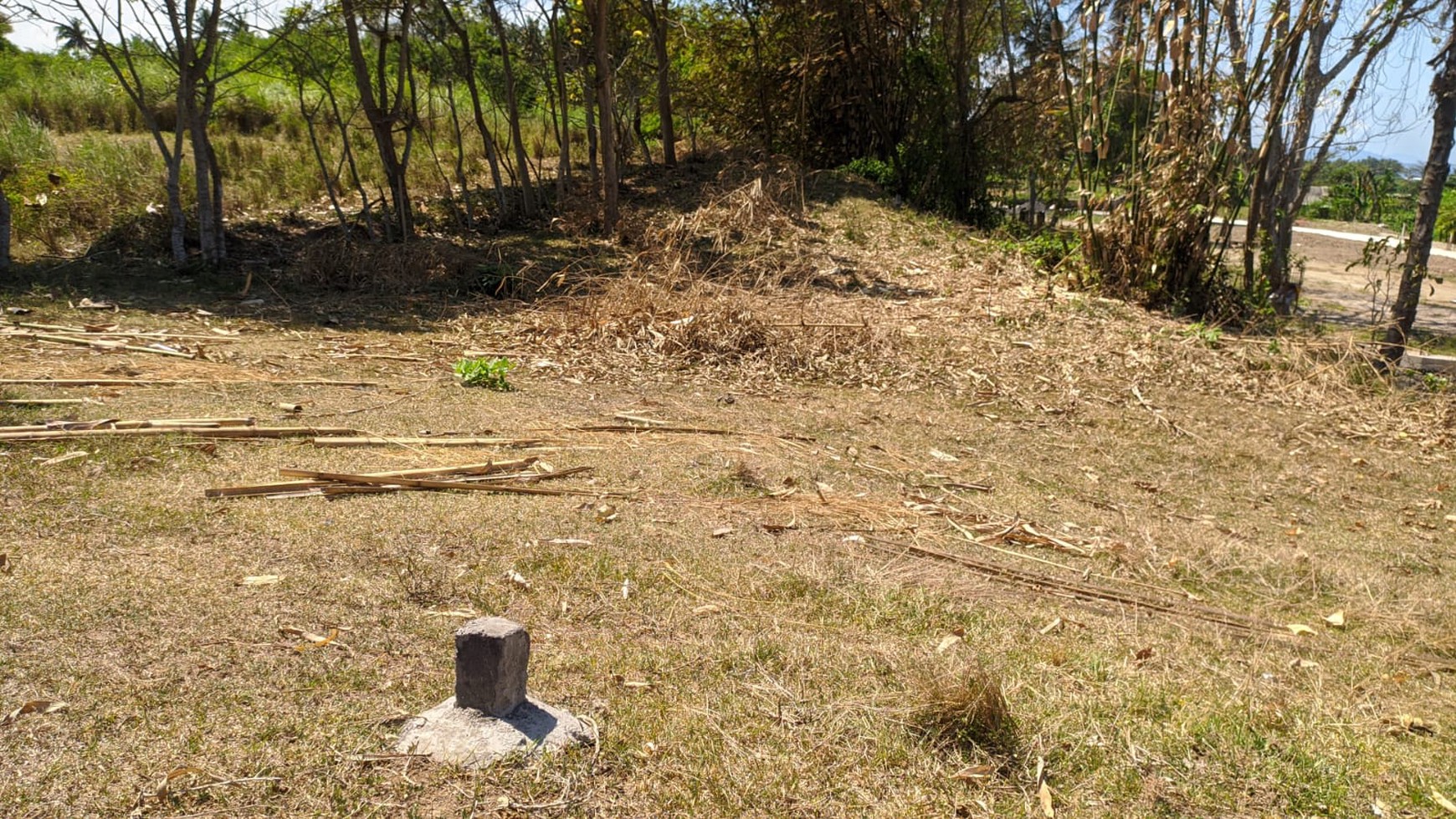 Land Freehold in Great Location Saba Beach Bali