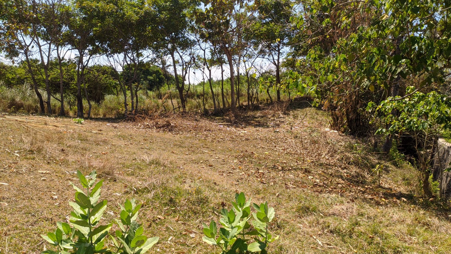 Land Freehold in Great Location Saba Beach