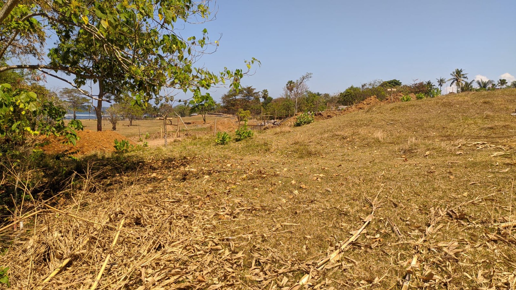 Land Freehold in Great Location Saba Beach Bali