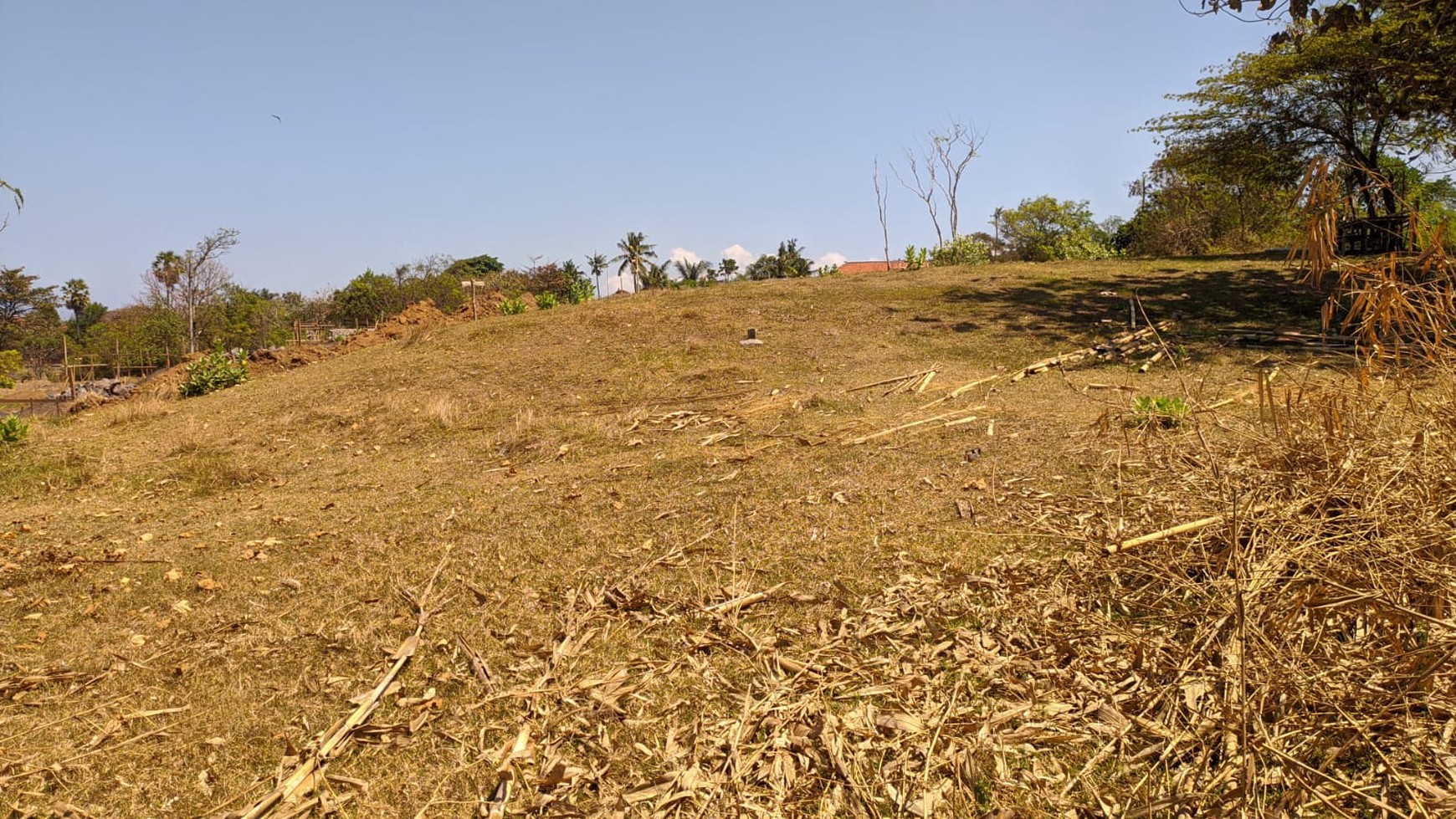 Land Freehold in Great Location Saba Beach Bali