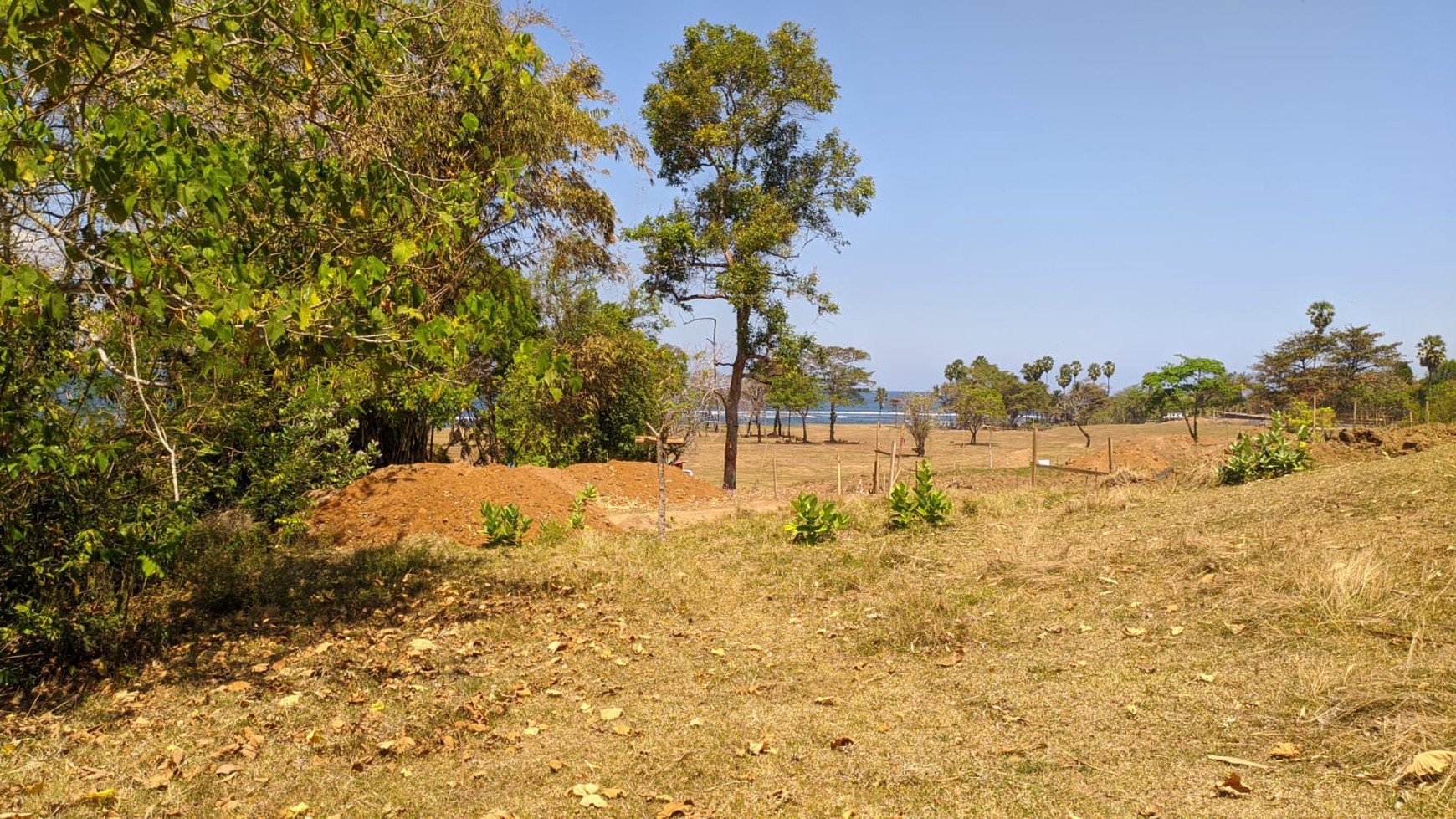 Land Freehold in Great Location Saba Beach Bali
