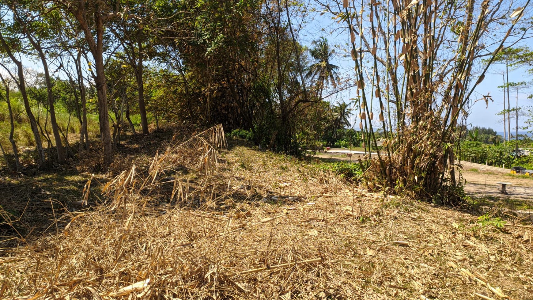 Land Freehold in Great Location Saba Beach Bali