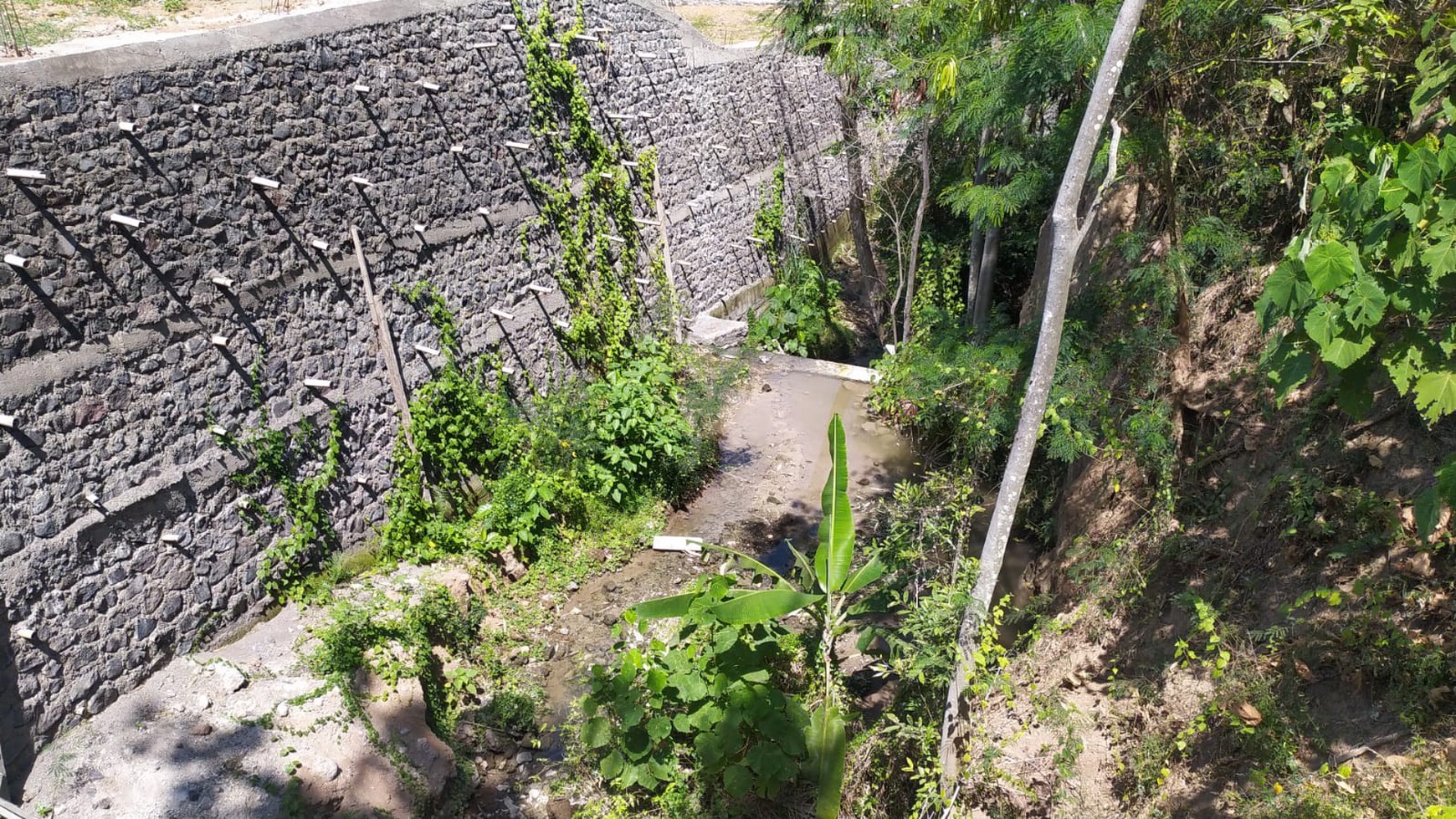 Land Freehold in Great Location Saba Beach Bali