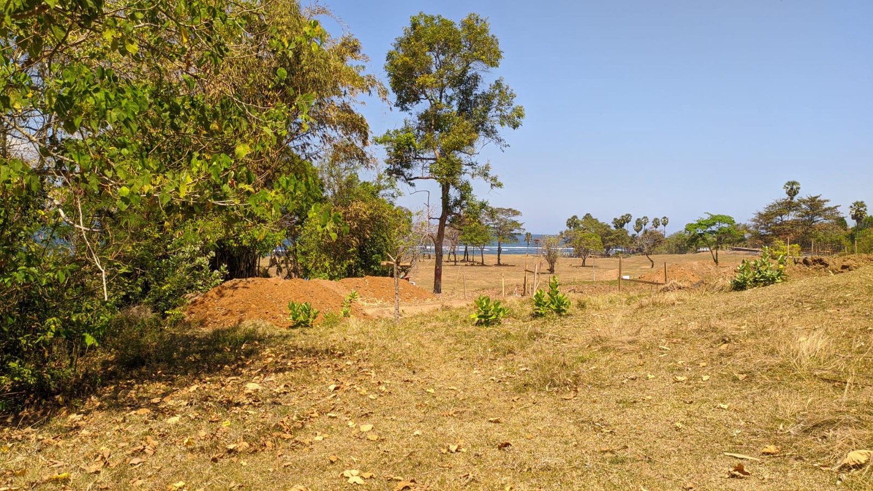 Land Freehold in Great Location Saba Beach