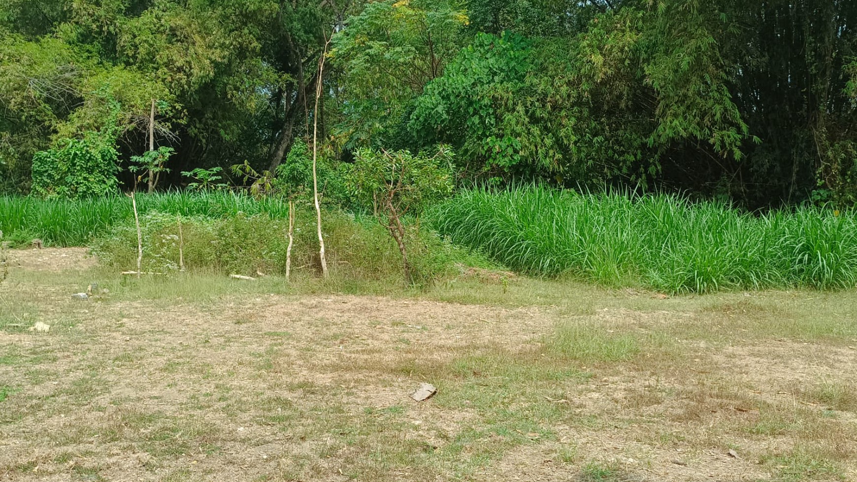 TANAH KAVLING SIAP BANGUN DEKAT ALUN-ALUN WATES KULONPROGO