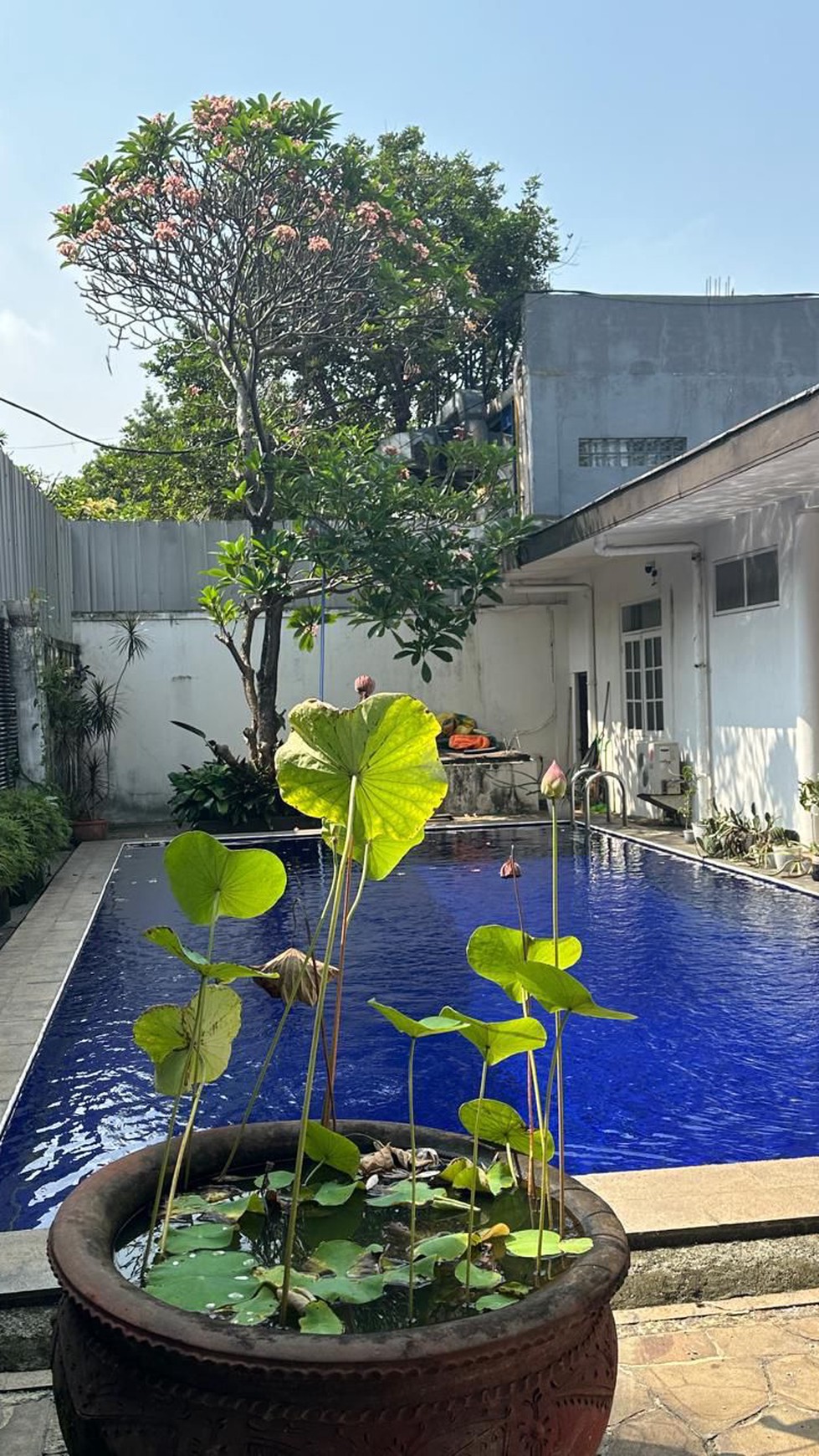 Rumah Satu Lantai Luas dengan Kolam Renang dan Taman 