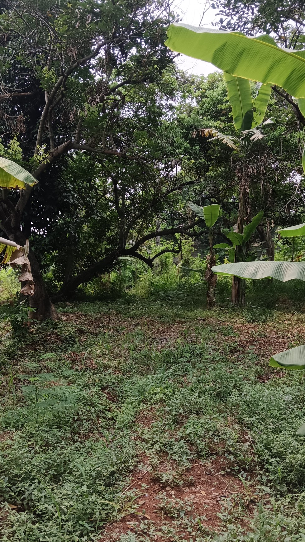 Tanah Jatibening Baru, Pondok Gede, Bekasi