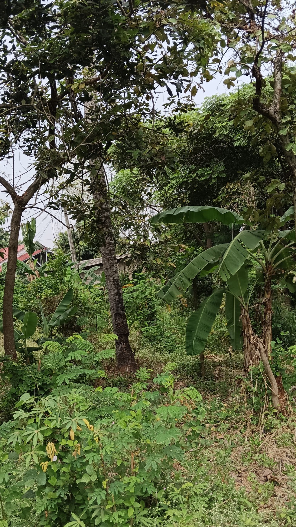 Tanah Jatibening Baru, Pondok Gede, Bekasi