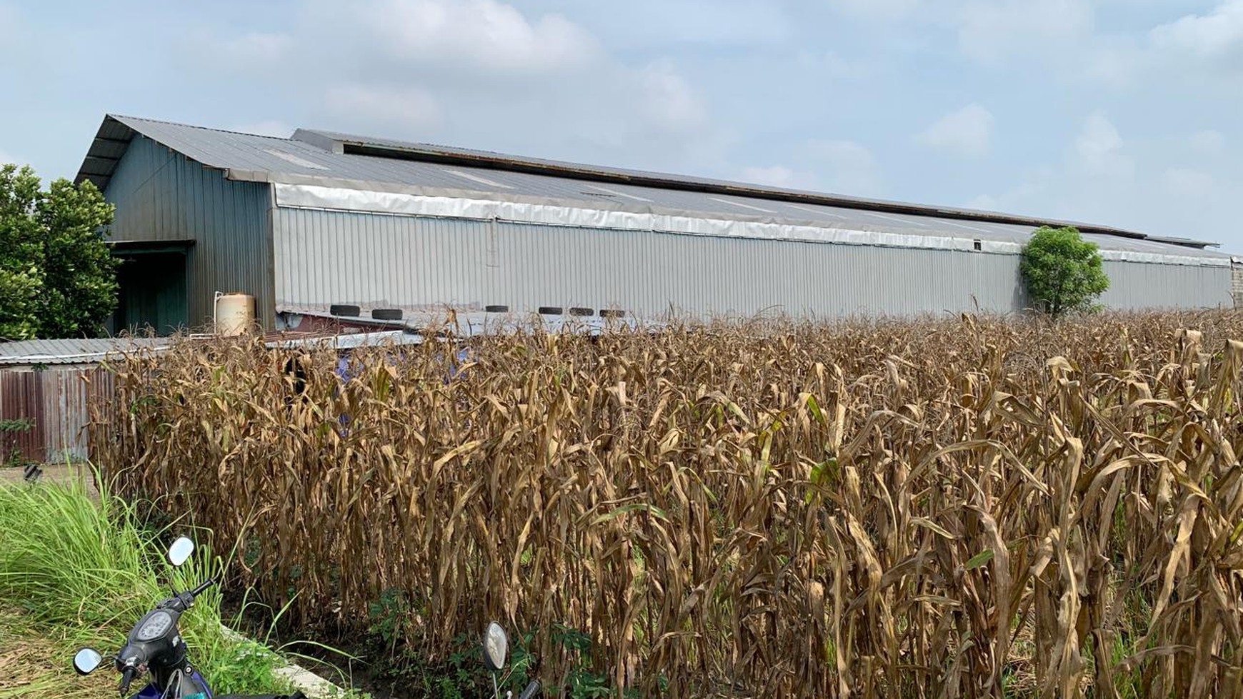 Rumah Hitung Tanah Area Cipete