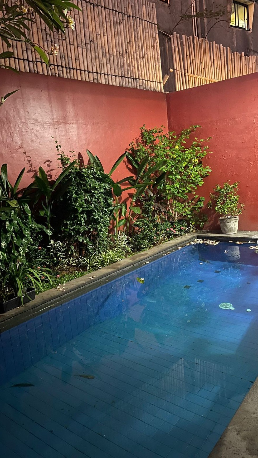 For Sale Freehold -  House  2 bedrooms close to Seminyak