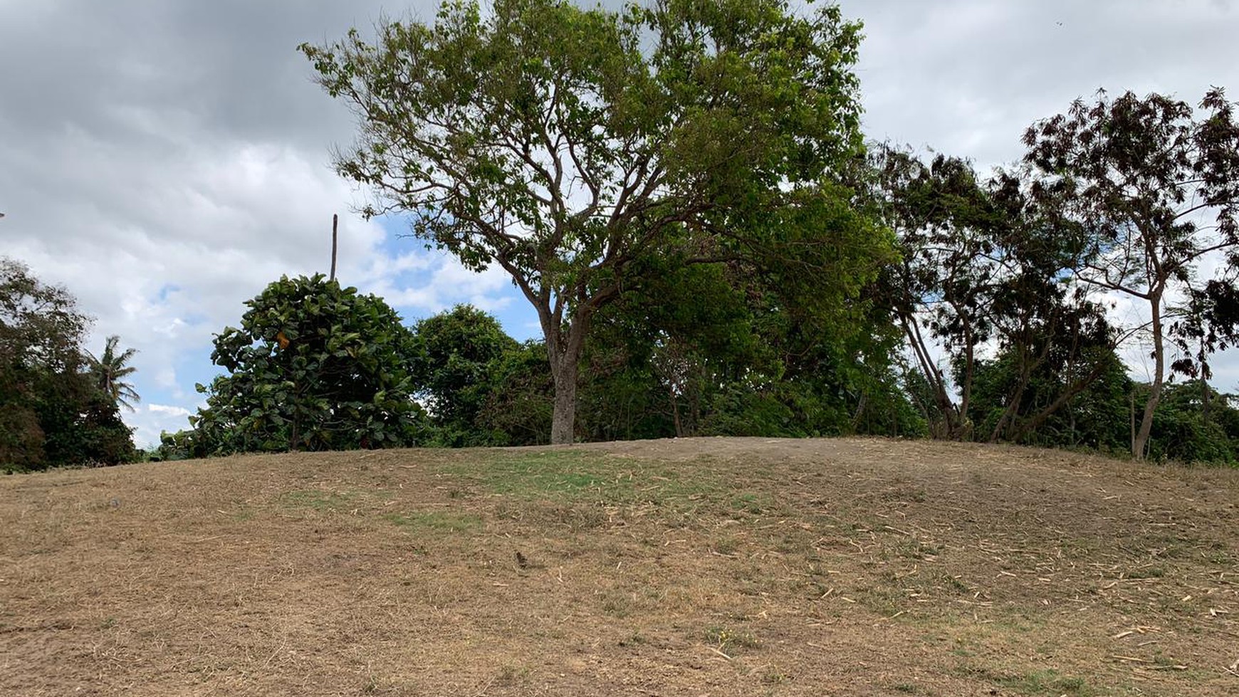 Land Freehold in Great Location Saba Beach