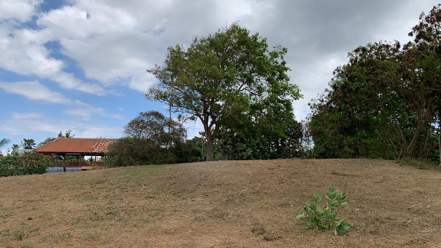 Land Freehold in Great Location Saba Beach Bali