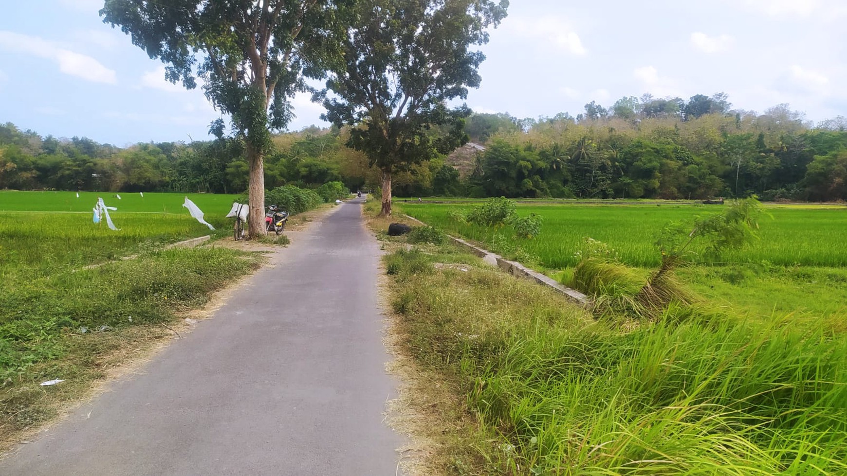 Tanah Luas 7330 Meter Persegi Lokasi Dekat Kampus UMY Gamping Sleman 