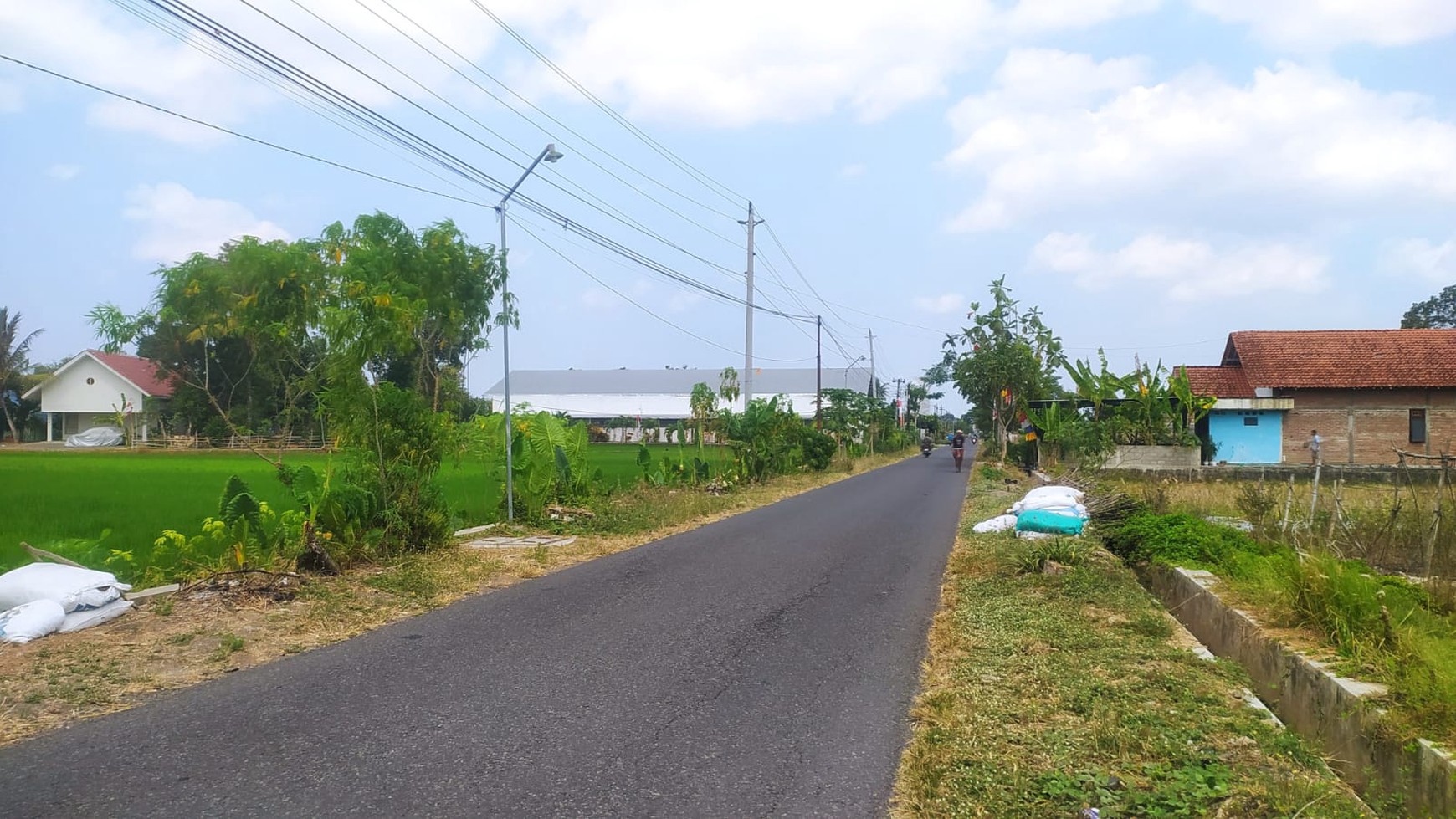 Tanah Luas 6600 Meter Persegi Lokasi Strategis di Sedayu Bantul 