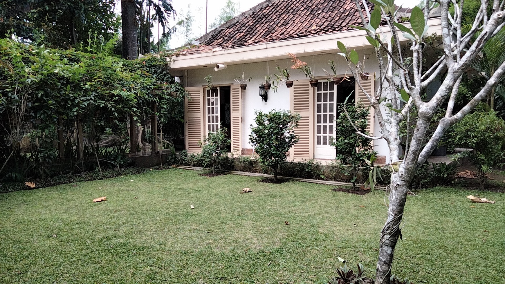 Tanah Luas di Pogung Baru jl kaliurang km 5 dekat kampus UGM Yogyakarta