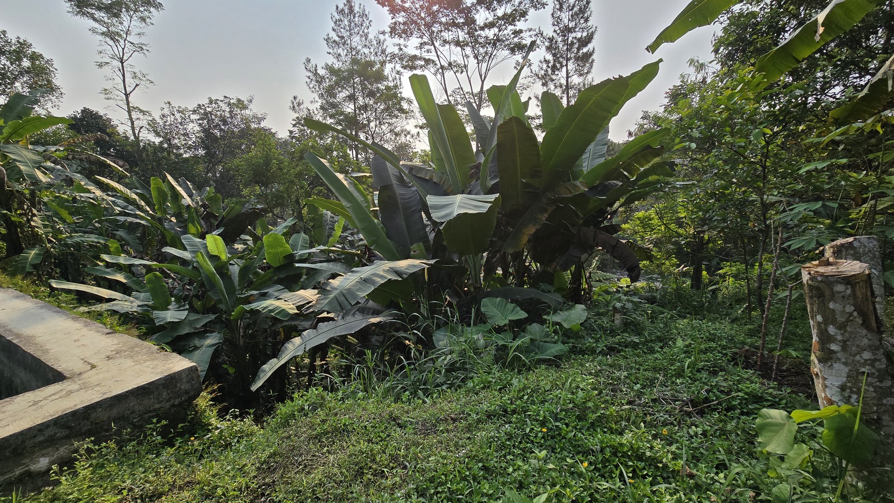 Pondok Sekar di Lokasi Strategis Pinggir Jalan Raya Cipayung, Bogor, Jawa Barat