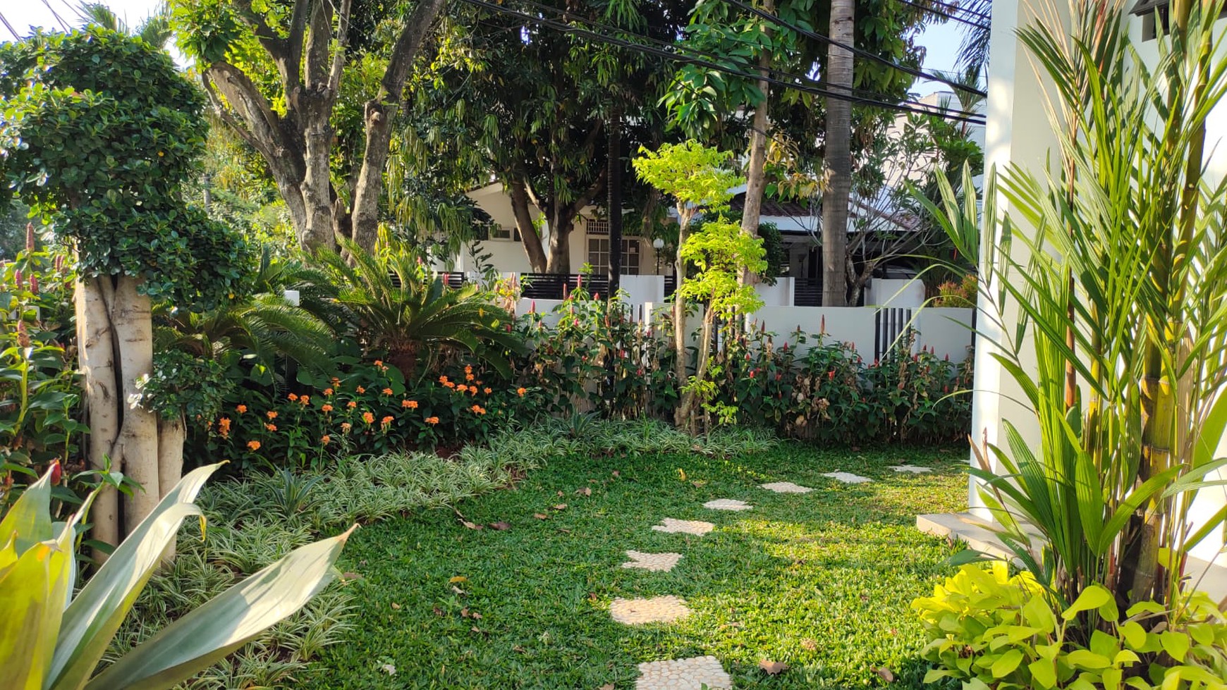 Rumah Mewah Baru dengan Desain Elegan dan Hunian Asri @Bintaro