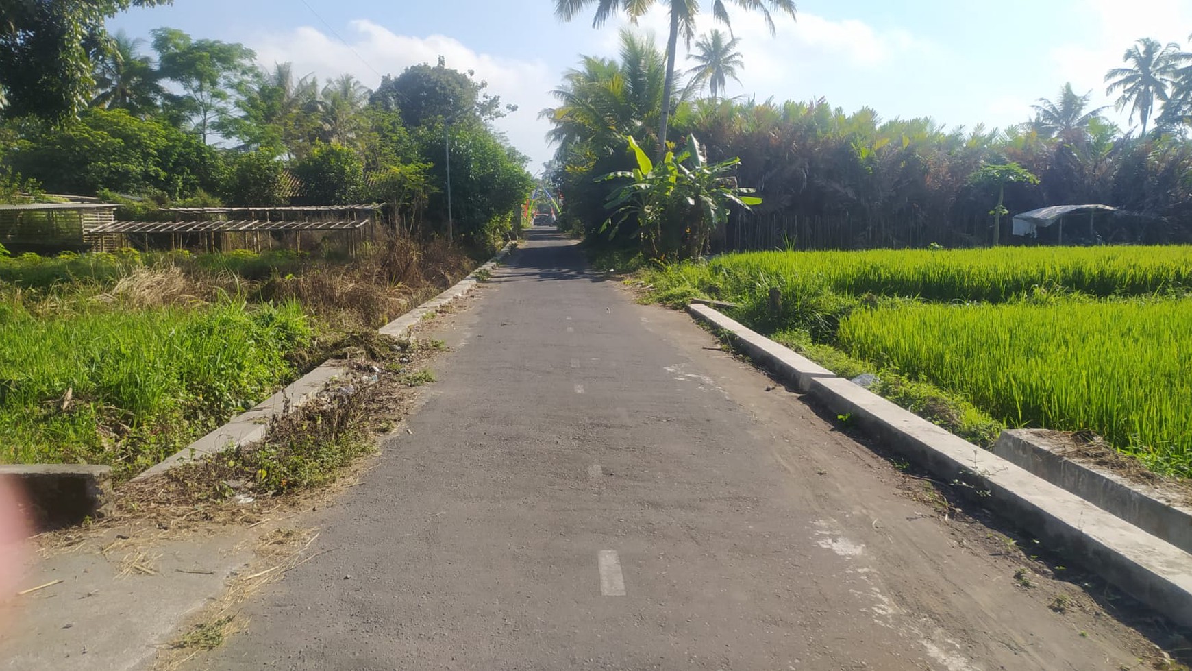 Tanah Luas 784 Meter Persegi Lokasi di Daerah Turi Sleman 