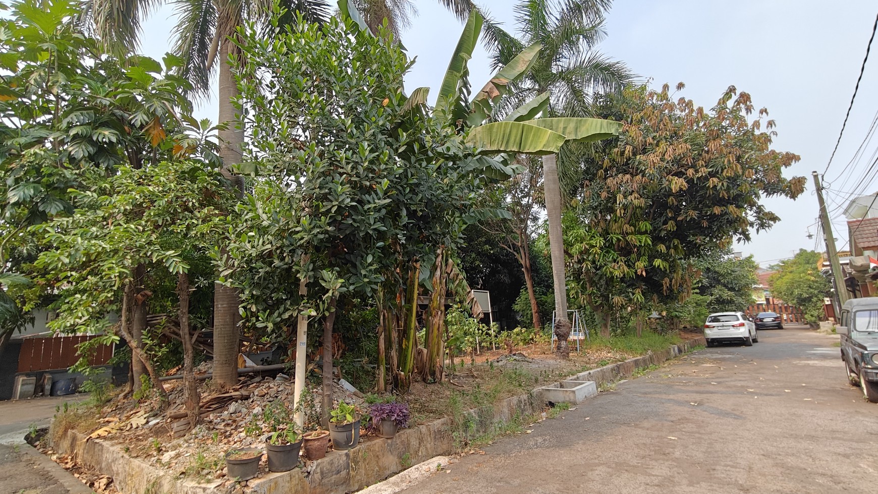 Rumah di Taman Aster Cikarang, teduh, asri dan aman