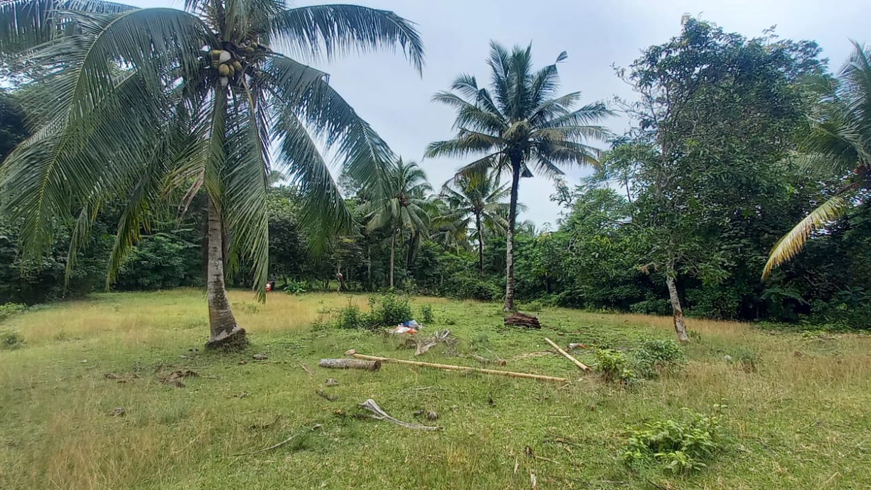 Kavling Murah Di Jl Tegal Baros Desa Carita Pandeglang Banten