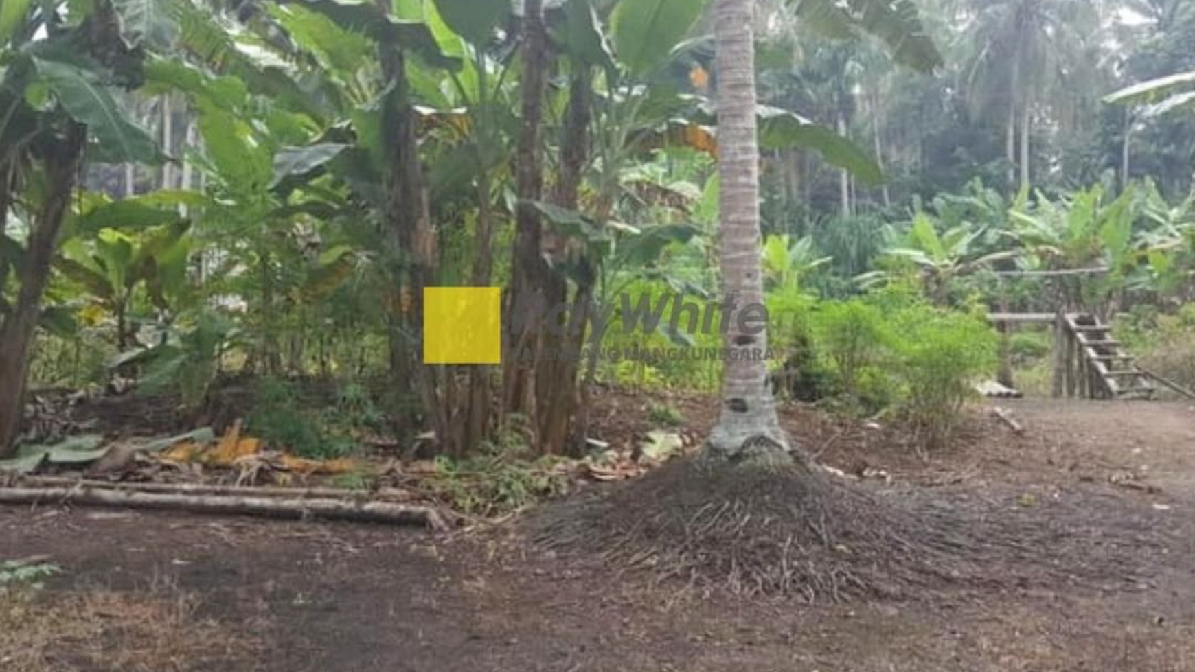 Dijual Cepat Tanah di Kel Sri Tiga Banyuasin