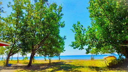 Limited Time Offer! Beach Front Land in Gerokgak Only IDR 60 mio/are