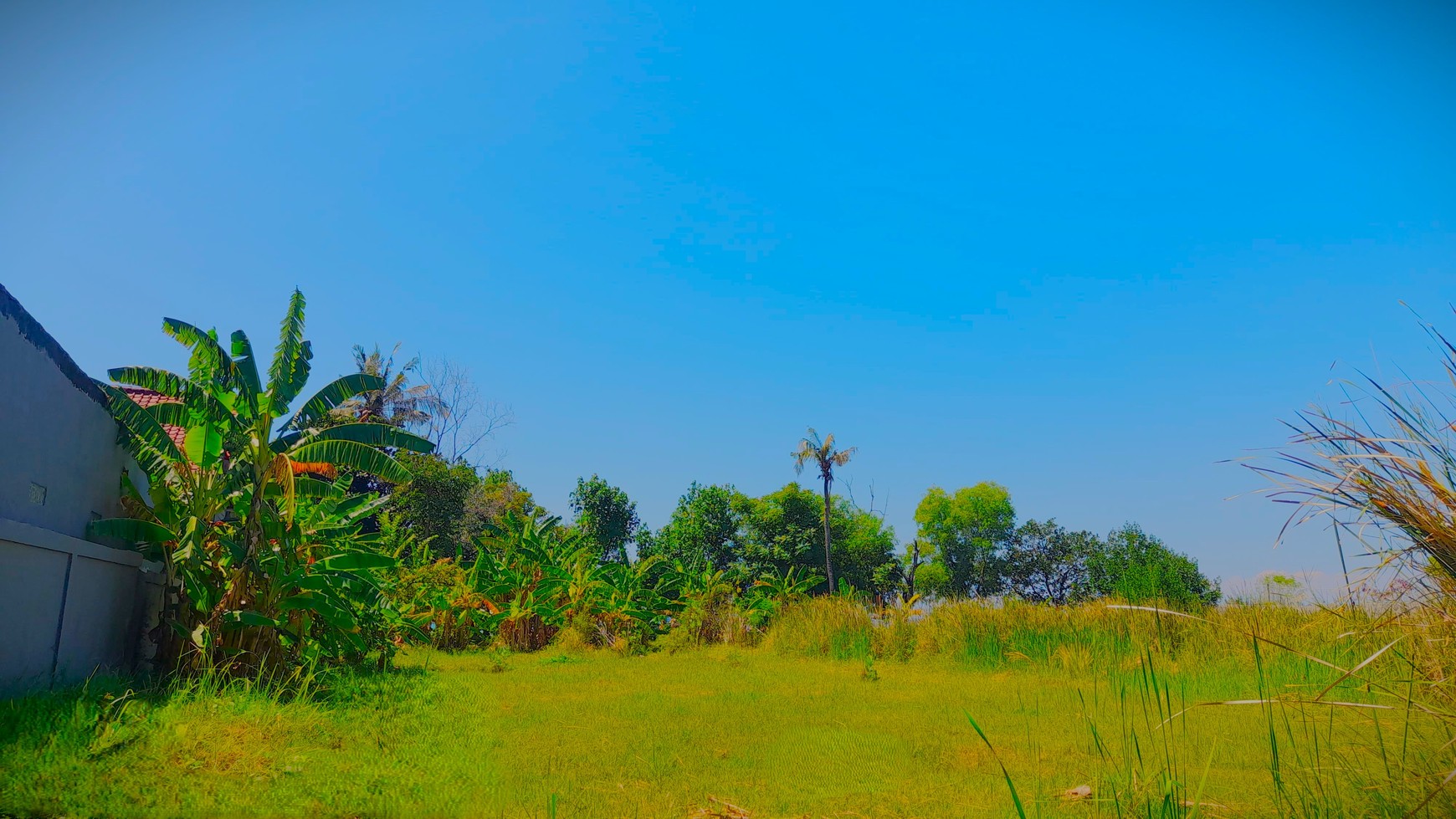 Limited Time Offer! Beach Front Land in Gerokgak Only IDR 60 mio/are