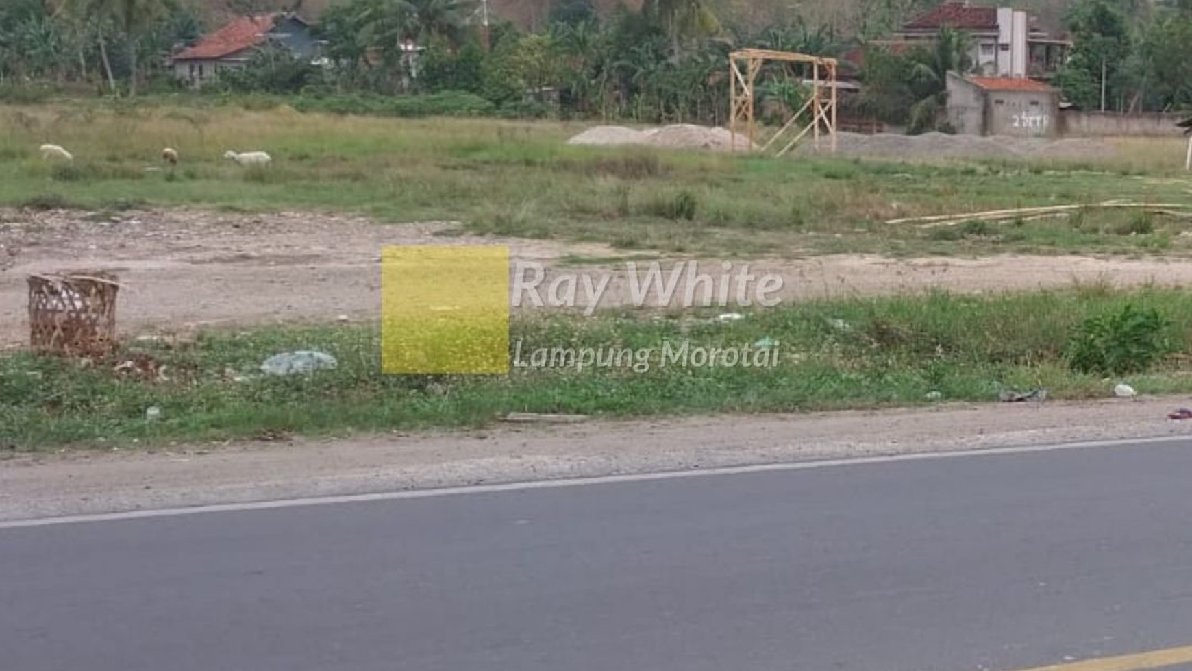 Dijual Tanah Pinggir Jl. Lintas Barat Sumatera  Pringsewu Lampung