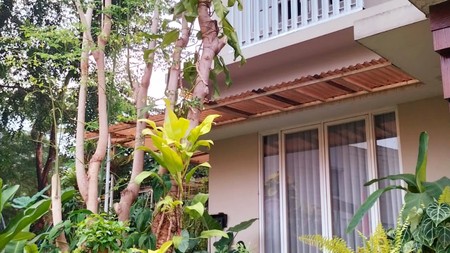 Rumah Cantik Siap Huni dengan Desain Modern Tropical @Bintaro