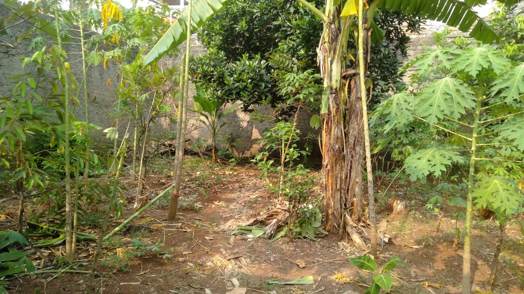 Rumah siap huni 2 lantai, halaman Asri di Jurang Mangu.