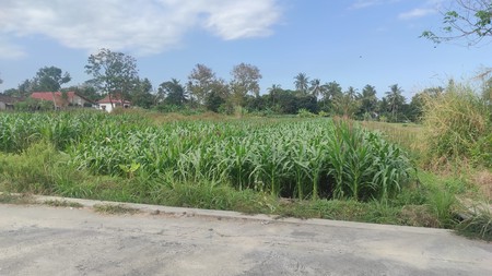 Tanah 4000 Meter Persegi Berada dekat Kawasan Wisata Jl. Kaliurang Pakem Sleman