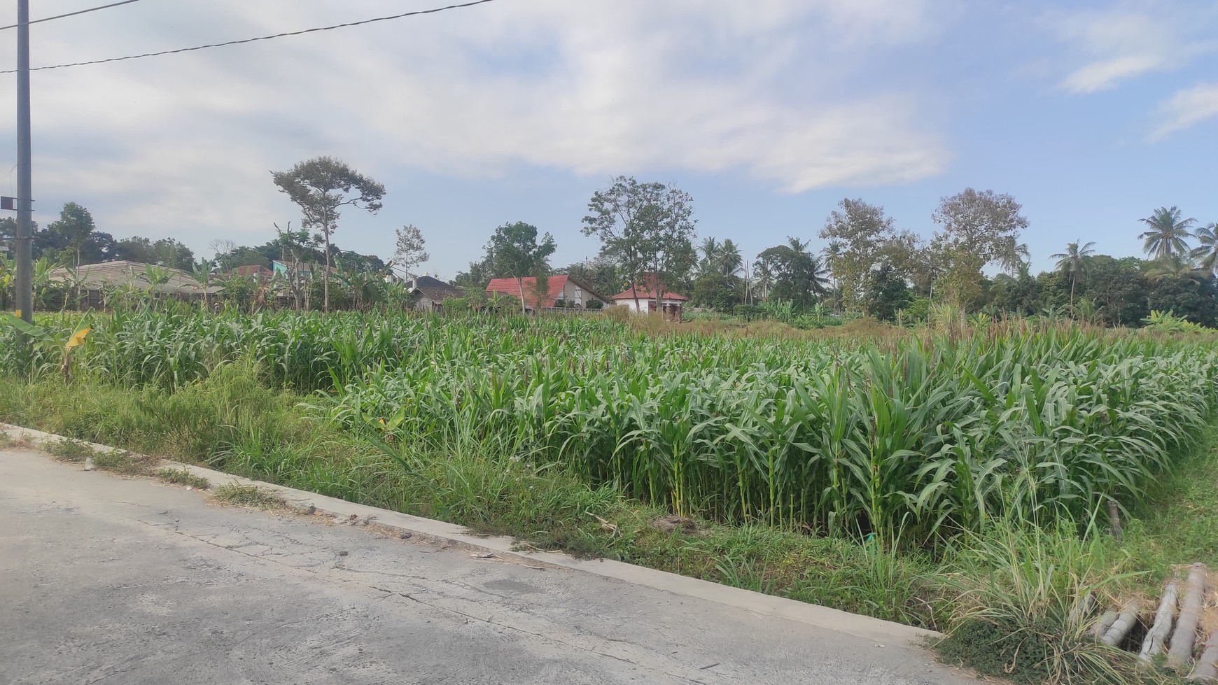 Tanah 4000 Meter Persegi Berada dekat Kawasan Wisata Jl. Kaliurang Pakem Sleman