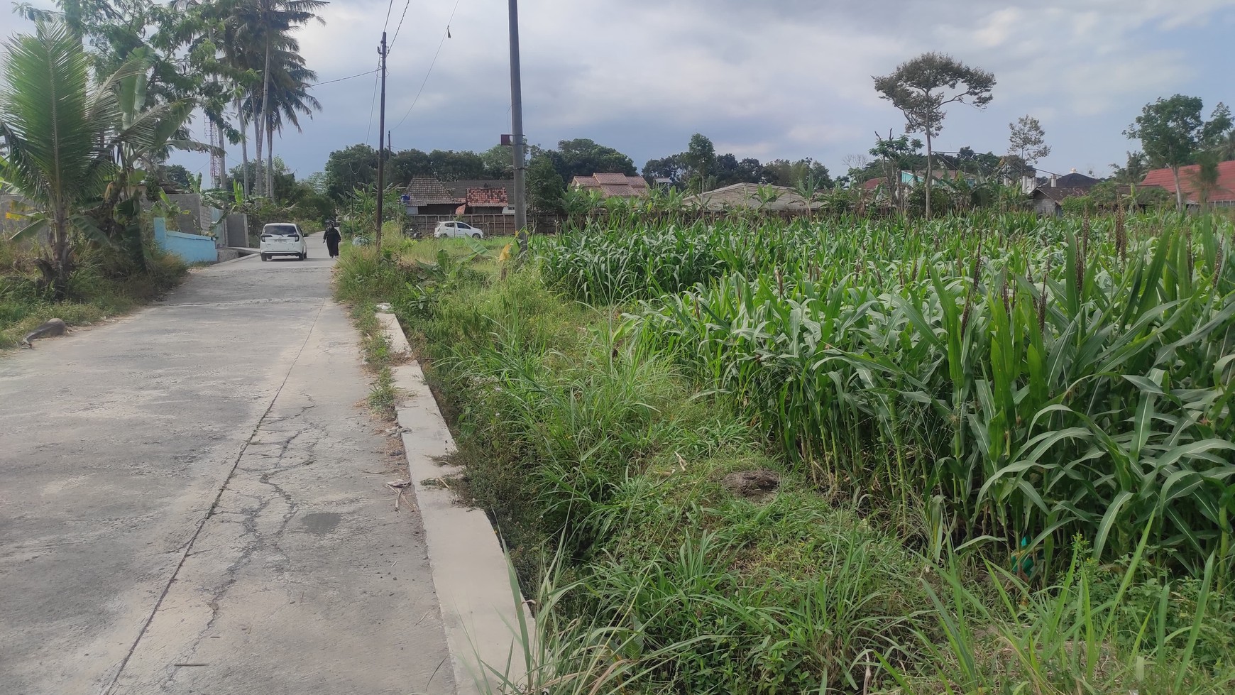 Tanah 4000 Meter Persegi Berada dekat Kawasan Wisata Jl. Kaliurang Pakem Sleman