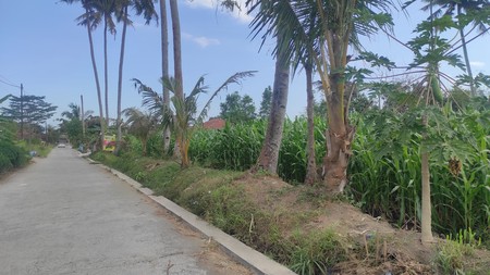 Tanah Luas 7.140 Meter Persegi SHM Lokasi Pakem Sleman Yogyakarta