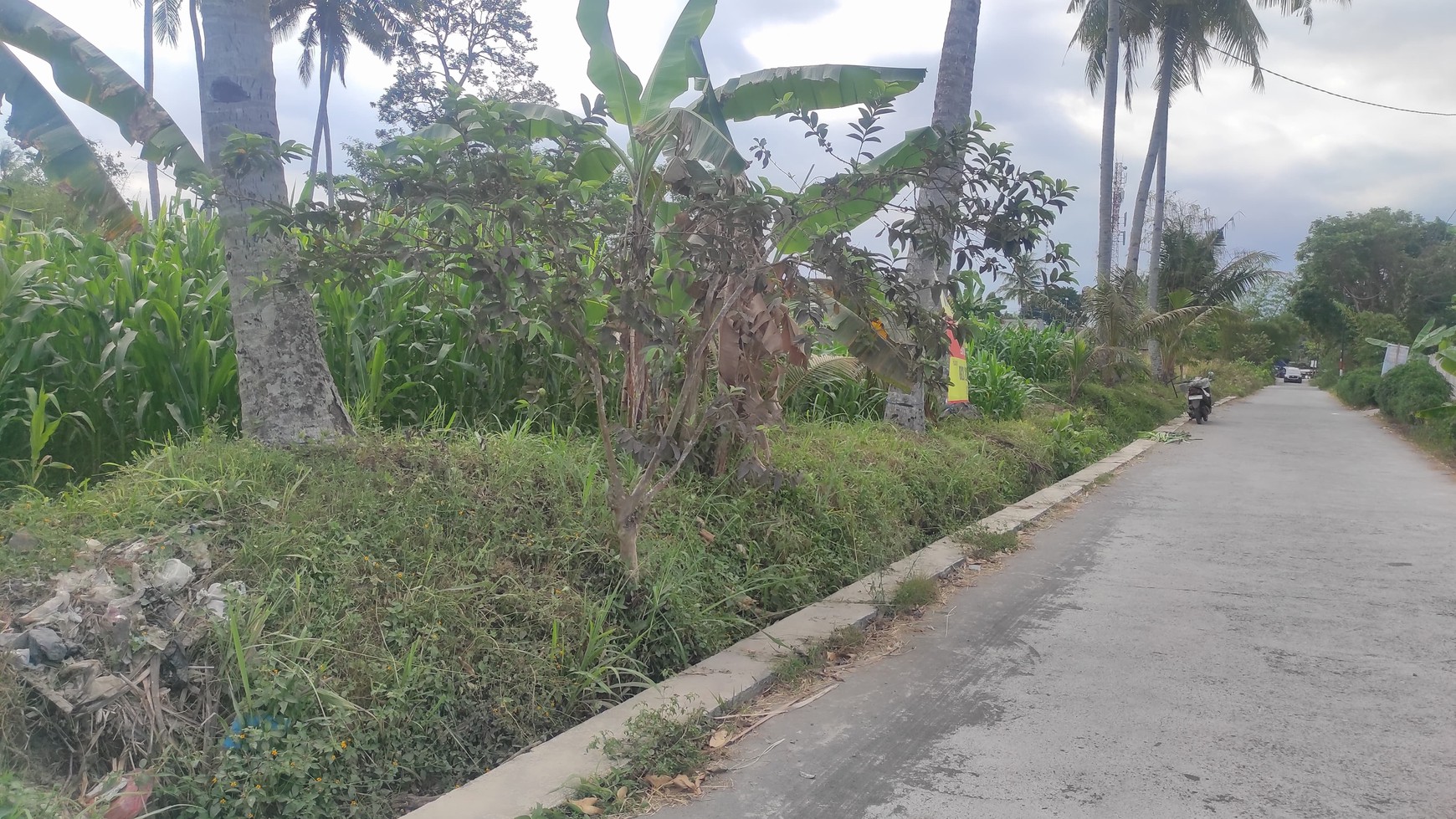 Tanah Luas 7.140 Meter Persegi SHM Lokasi Pakem Sleman Yogyakarta