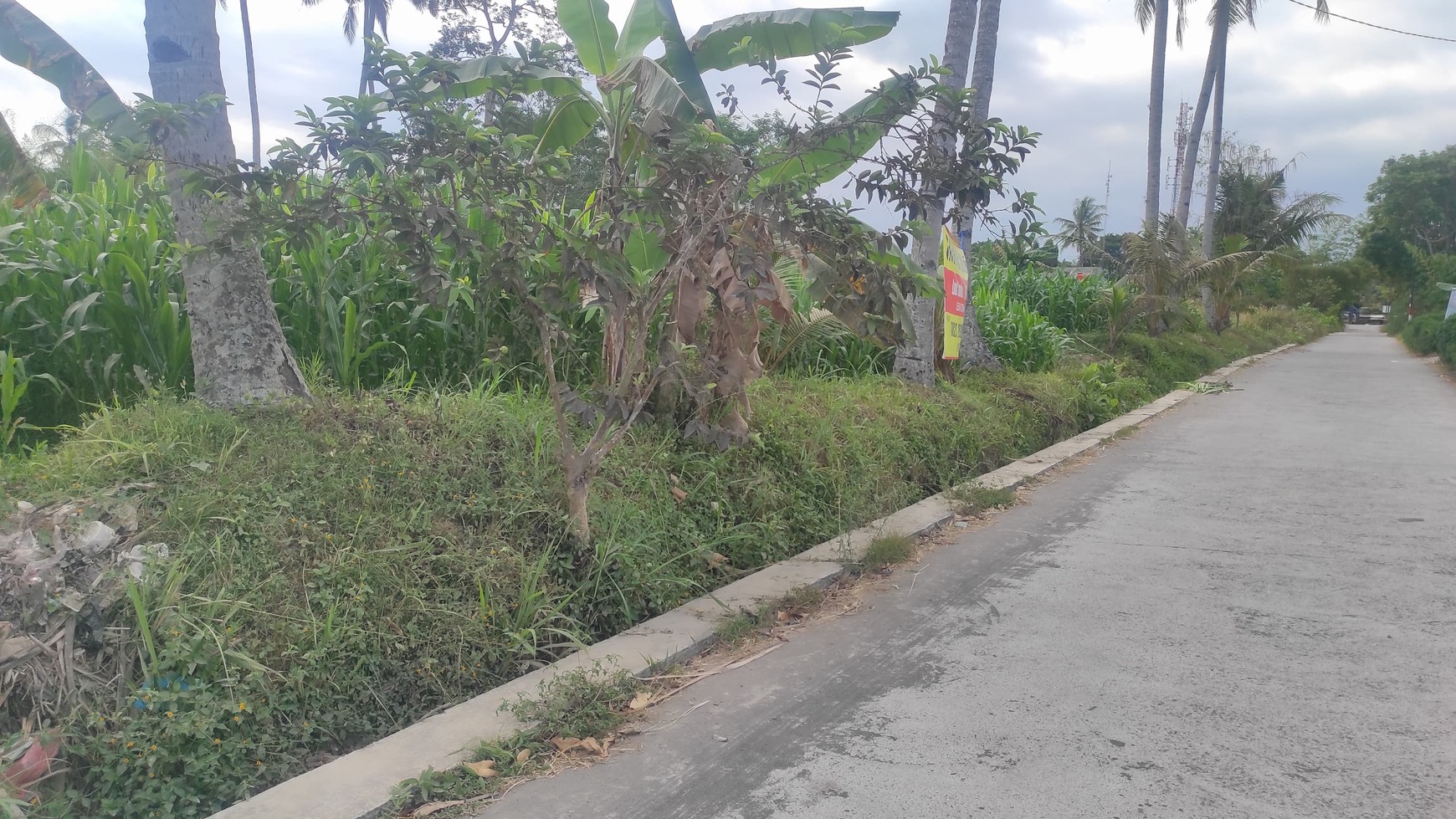 Tanah Luas 7.140 Meter Persegi SHM Lokasi Pakem Sleman Yogyakarta