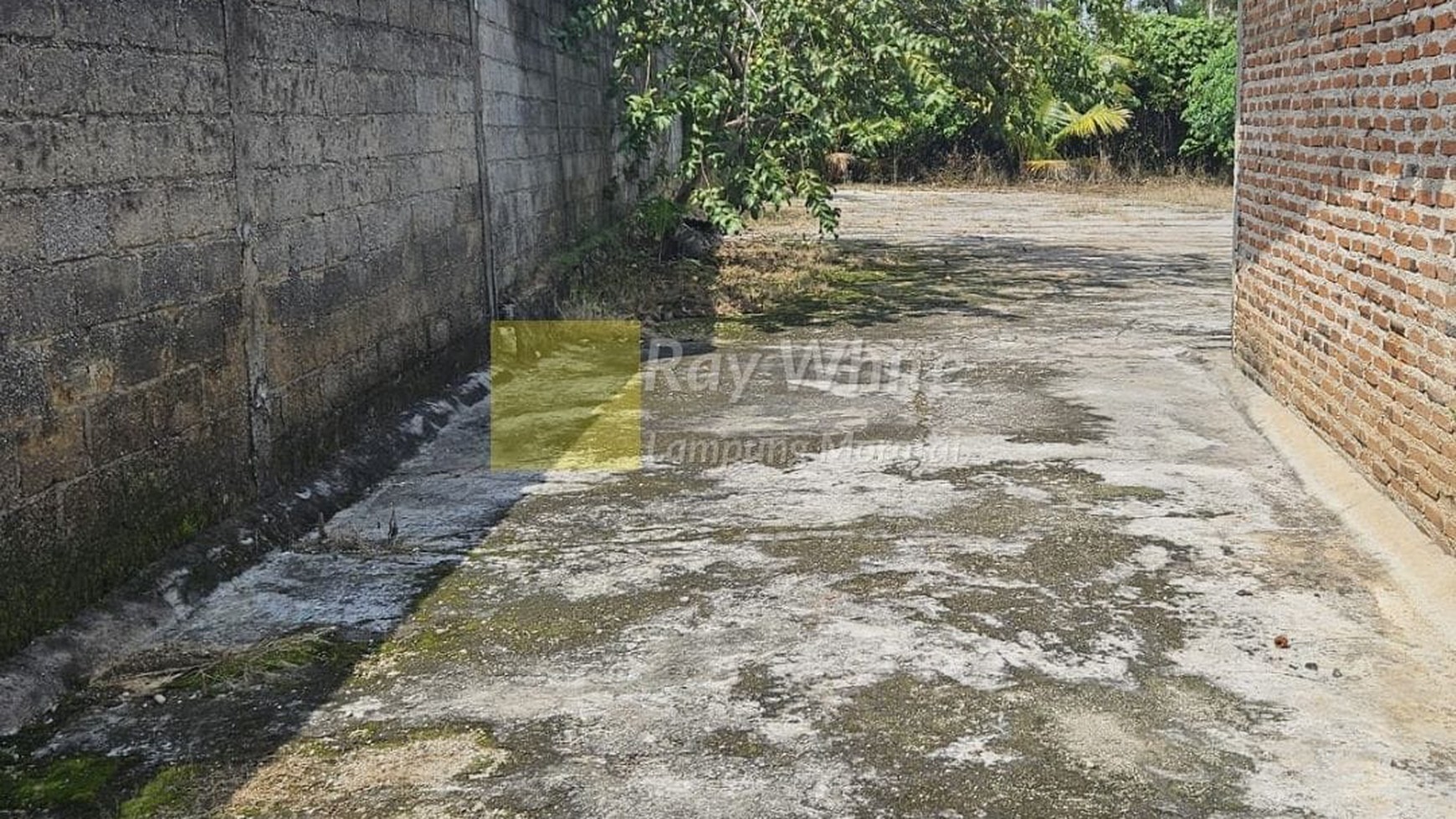 Dijual Tanah di Rajabasa, Bandar Lampung