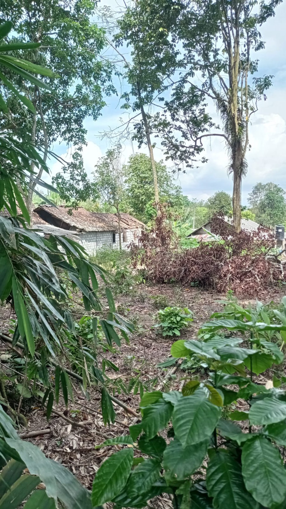 Tanah Luas 1097 Meter Persegi Lokasi JalanKaliurang Pakem Sleman 